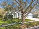 Charming single-story home boasts a well-manicured lawn and mature trees, providing shade and curb appeal at 15209 Hammock Chase Ct, Odessa, FL 33556