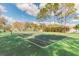 Enjoy outdoor recreation on this tennis court with manicured landscaping and beautiful views at 15209 Hammock Chase Ct, Odessa, FL 33556
