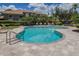 A pristine community pool surrounded by manicured landscaping and lounge chairs at 3298 Covered Bridge W Dr, Dunedin, FL 34698