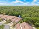 Aerial view of property showcasing roof, landscaping, and proximity to lush wooded area at 3810 Darston St, Palm Harbor, FL 34685