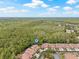 Community aerial view of properties showing lush landscaping and tree coverage at 3810 Darston St, Palm Harbor, FL 34685