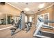 Community gym featuring modern fitness equipment and ample workout space at 7001 Interbay Blvd # 121, Tampa, FL 33616
