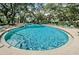 The community pool offers clear blue water and plenty of lounge chairs for relaxing in the sunshine at 878 Franklin Cir, Palm Harbor, FL 34683
