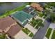 Overhead view of the home featuring a green roof, long driveway and surrounding greenery at 20115 Nob Oak Ave, Tampa, FL 33647