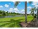 The backyard offers serene water views, mature palms and ample room for recreation at 20115 Nob Oak Ave, Tampa, FL 33647