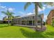 Rear view of the screened-in pool and patio, nestled within a lush lawn with palm trees at 20115 Nob Oak Ave, Tampa, FL 33647