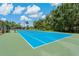 Bright blue tennis court with green border, surrounded by black fencing and trees, with blue sky and scattered clouds at 20115 Nob Oak Ave, Tampa, FL 33647