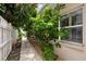 Charming walkway featuring lush foliage and a bright aesthetic adjacent to the home at 3921 E Eden Roc Cir, Tampa, FL 33634