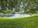 Serene pond with lush grassy shoreline offering a tranquil neighborhood amenity at 5110 Lake Valencia E Blvd, Palm Harbor, FL 34684