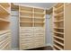 Spacious closet with built-in shelving and drawers at 5200 Brittany S Dr # 4-1102, St Petersburg, FL 33715
