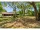 Spacious backyard with mature trees and a house in the background at 33466 Westwood Dr Dr, Ridge Manor, FL 33523
