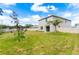 Backyard featuring a newly installed fence, green grass and young trees at 10913 Trailing Vine Dr, Tampa, FL 33610