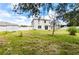 Backyard with new grass, a white fence, and a small storage shed on the left at 10913 Trailing Vine Dr, Tampa, FL 33610