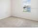 Bright bedroom featuring a cozy carpet, white walls, and a window overlooking the neighborhood at 10913 Trailing Vine Dr, Tampa, FL 33610