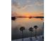 Beautiful sunset view over the water with palm trees in the foreground, offering a serene and tropical ambiance at 1848 Shore S Dr # 501, South Pasadena, FL 33707