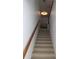 Carpeted staircase with wood railings at 9720 Indian Key Trl # 117, Seminole, FL 33776