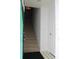 Green door and carpeted staircase at 9720 Indian Key Trl # 117, Seminole, FL 33776