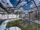 Enclosed pool area needs cleaning and maintenance at 16003 2Nd E St, Redington Beach, FL 33708