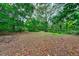 Spacious lot with a variety of vegetation at 1838 Sylvan Dr, Clearwater, FL 33755