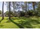 Gray house partially visible through lush, green trees at 761 Soundview Dr, Palm Harbor, FL 34683