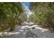 Stone pathway through a garden with native plantings at 761 Soundview Dr, Palm Harbor, FL 34683