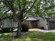 Exterior view of a charming house with landscaping and a large tree at 2101 Sunset Point Rd # 1001, Clearwater, FL 33765