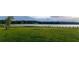 Serene lake view with a grassy foreground and tree-lined horizon at 3136 Neff Lake Rd, Brooksville, FL 34602