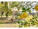 Lemon tree with ripe fruit near greenhouse at 3136 Neff Lake Rd, Brooksville, FL 34602