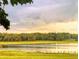 Tranquil lakefront property with lush green grass and distant trees at sunset at 3136 Neff Lake Rd, Brooksville, FL 34602