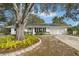 Image 1 of 25: 2060 Rainbow Dr, Clearwater