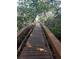 Wooden boardwalk path through lush mangrove trees at 3503 10Th W Ln, Palmetto, FL 34221
