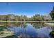 Serene pond view with lush greenery and reflection at 3503 10Th W Ln, Palmetto, FL 34221