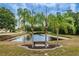Scenic view of a pond with palm trees and a bench, creating a serene outdoor space at 4136 Rhone Dr, New Port Richey, FL 34655