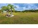 Spacious grassy lawn with palm trees and a park bench, offering a tranquil community setting at 4136 Rhone Dr, New Port Richey, FL 34655
