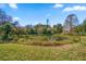 Serene pond with lush vegetation on the property at 2850 Sunstream Ln, Clearwater, FL 33759
