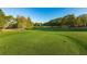 Expansive green golf course at 898 Skye Ln, Palm Harbor, FL 34683