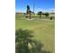 Expansive green space with manicured lawn and palm trees at 2256 Philippine Dr # 46, Clearwater, FL 33763