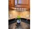 Corner of the kitchen counter featuring a plant, outlets, and lighting at 2256 Philippine Dr # 46, Clearwater, FL 33763