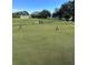 Manicured putting green with multiple holes and flag markers, ideal for practice at 2256 Philippine Dr # 46, Clearwater, FL 33763