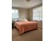 Bedroom featuring a plush bed, neutral walls, and well-lit windows at 2305 N Tampania Ave, Tampa, FL 33607