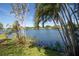Serene lake view from the backyard at 1901 Ohio Ne Ave, St Petersburg, FL 33703