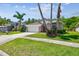 Image 1 of 49: 14532 Weeping Elm Dr, Tampa