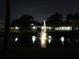 Night view of a lighted water fountain in a pond, surrounded by trees and buildings at 940 Virginia St # 107, Dunedin, FL 34698