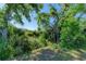 Peaceful waterfront view with lush greenery and a tranquil pond at 756 Bowman Ter, Port Charlotte, FL 33953