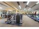 Well-equipped fitness center with various exercise machines at 36750 Us 19 # 2052, Palm Harbor, FL 34684