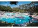 Large resort-style pool with plenty of lounge chairs and umbrellas at 36750 Us 19 # 2052, Palm Harbor, FL 34684