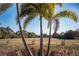 Picturesque golf course with palm trees framing the fairway at 36750 Us 19 # 2052, Palm Harbor, FL 34684