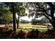 Scenic golf course view surrounded by lush greenery, offering a serene escape at 36750 Us 19 # 2052, Palm Harbor, FL 34684