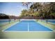 Vibrant blue and green pickleball court surrounded by mature trees, inviting residents to play at 36750 Us 19 # 2052, Palm Harbor, FL 34684