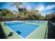 Brightly colored outdoor pickleball courts surrounded by mature trees at 36750 Us 19 # 2052, Palm Harbor, FL 34684